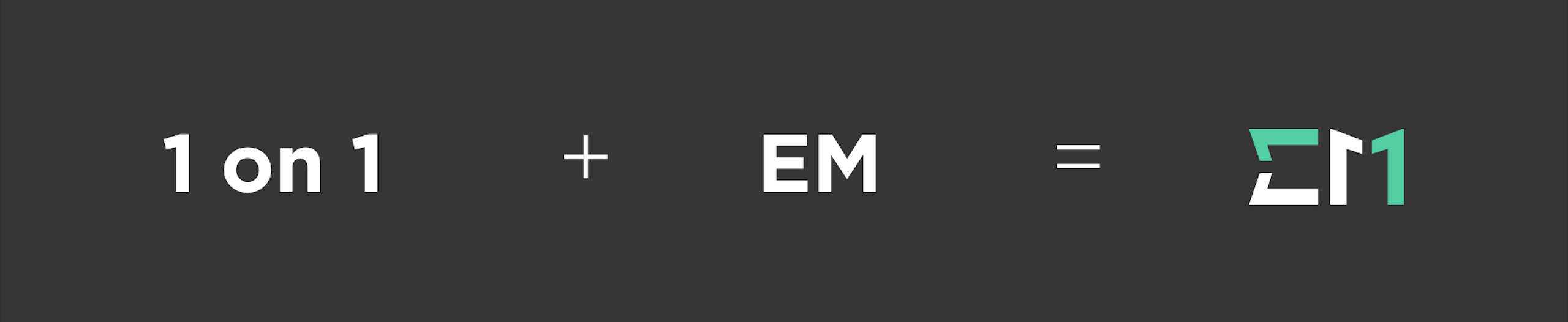 EM Logo Banner